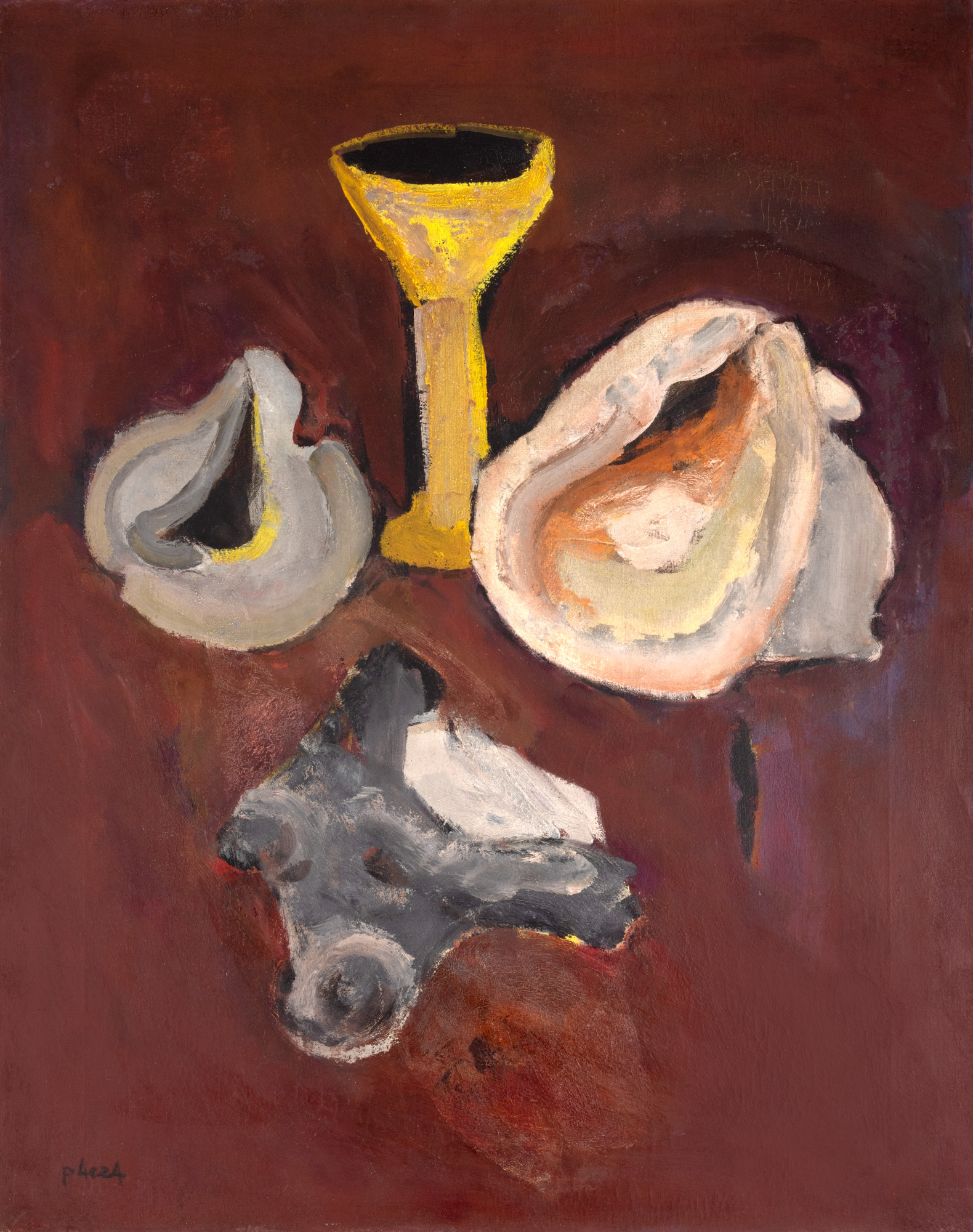 Still Life with Shells