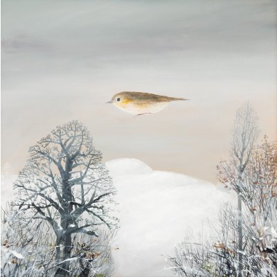 Ziua de Crăciun (Pasăre iarna)