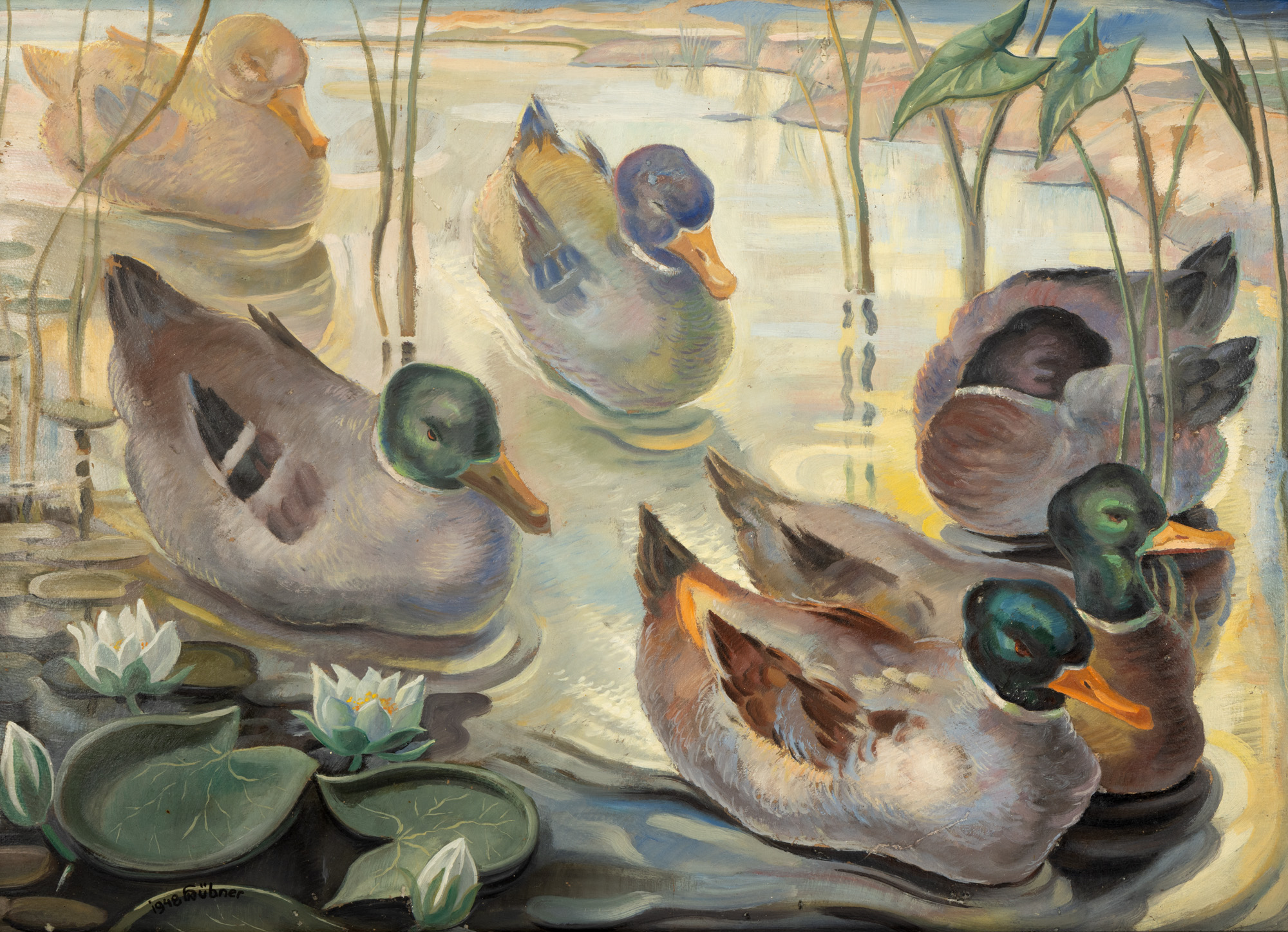 Ducks