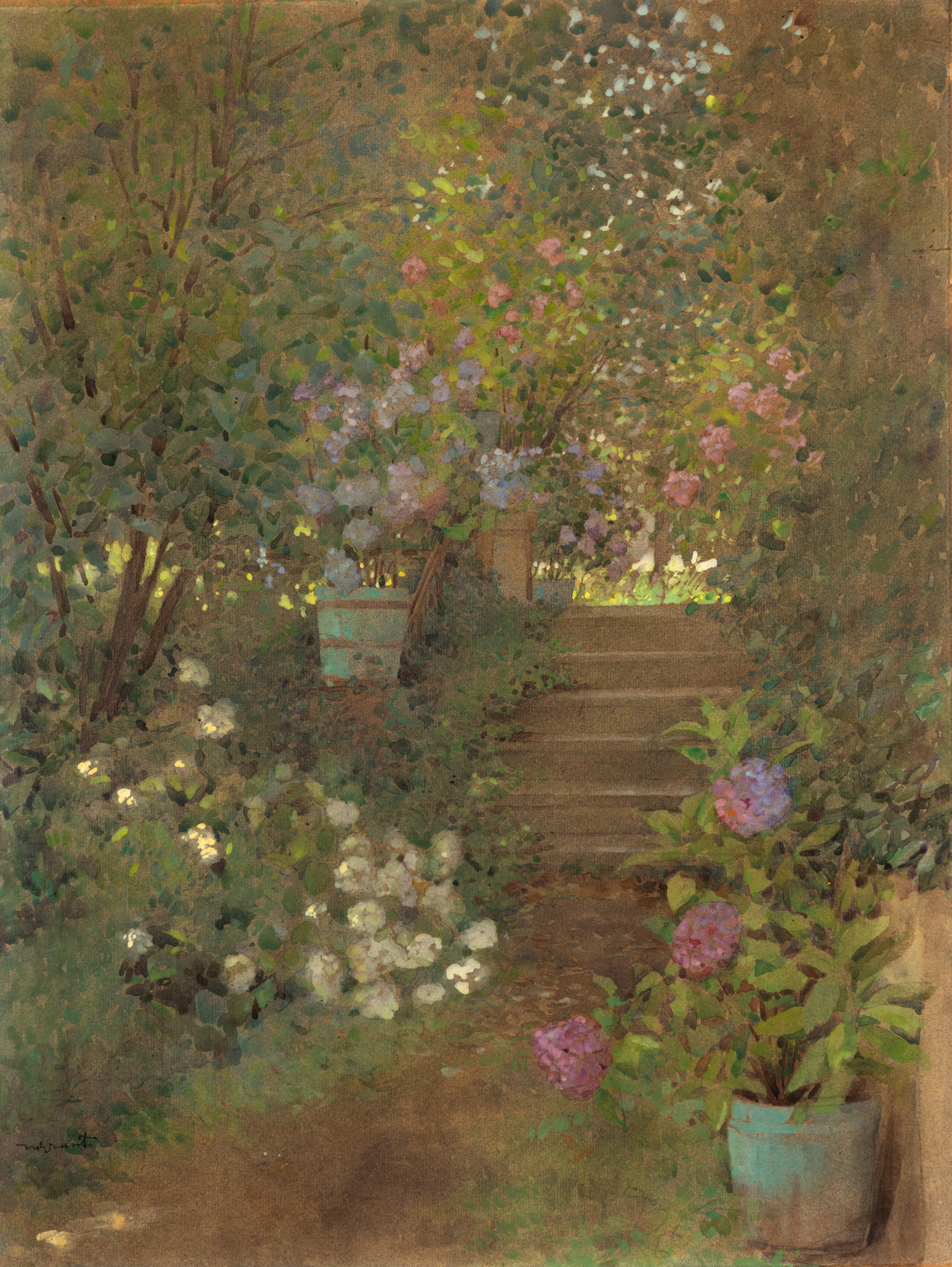 Summer Garden