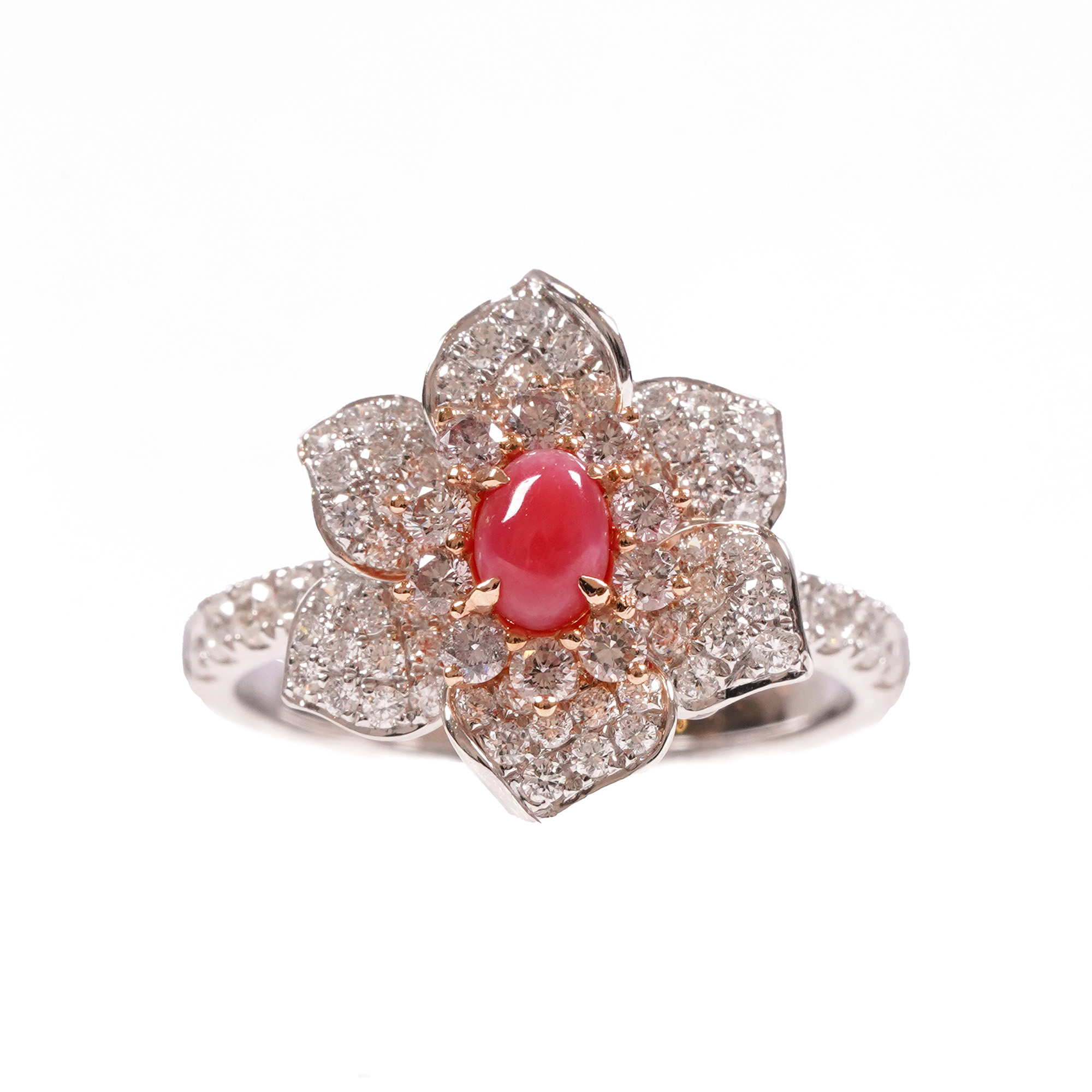 Rare bicolor gold ring set with a Conch pearl surrounded by diamonds