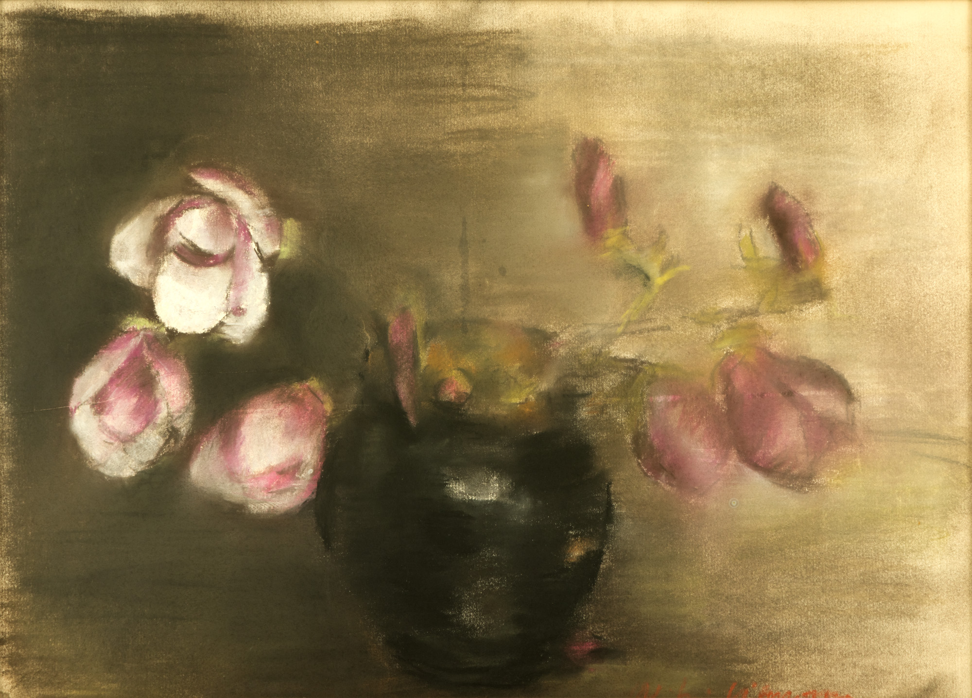 Magnolii