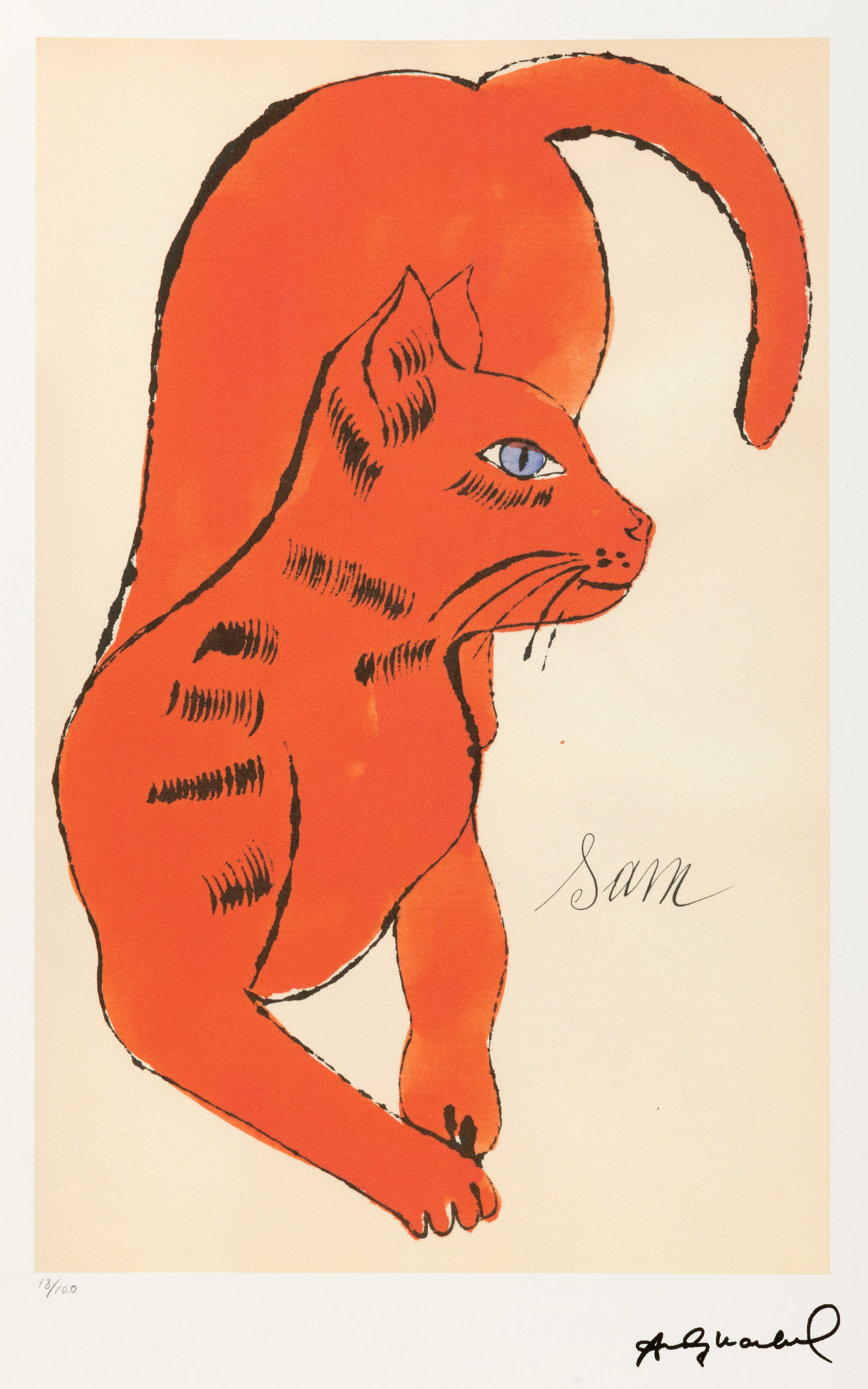 Cat Sam