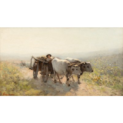 Car cu boi, pe cale de dimineață