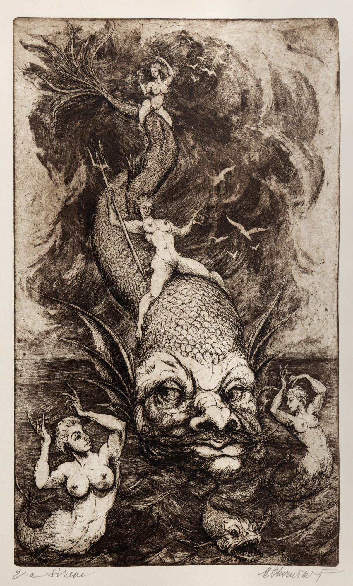 Sirena