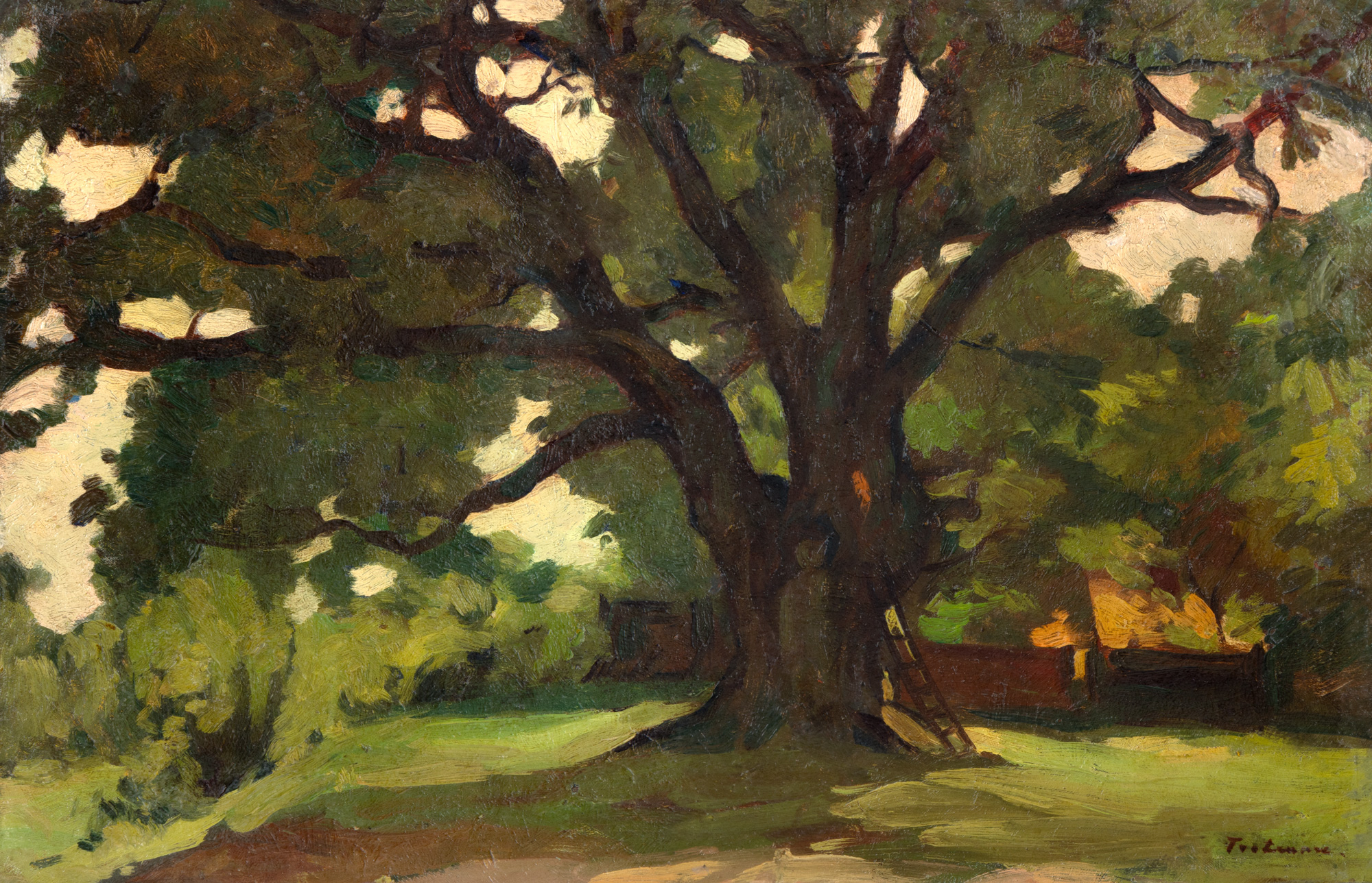 The Oak Tree in the Garden