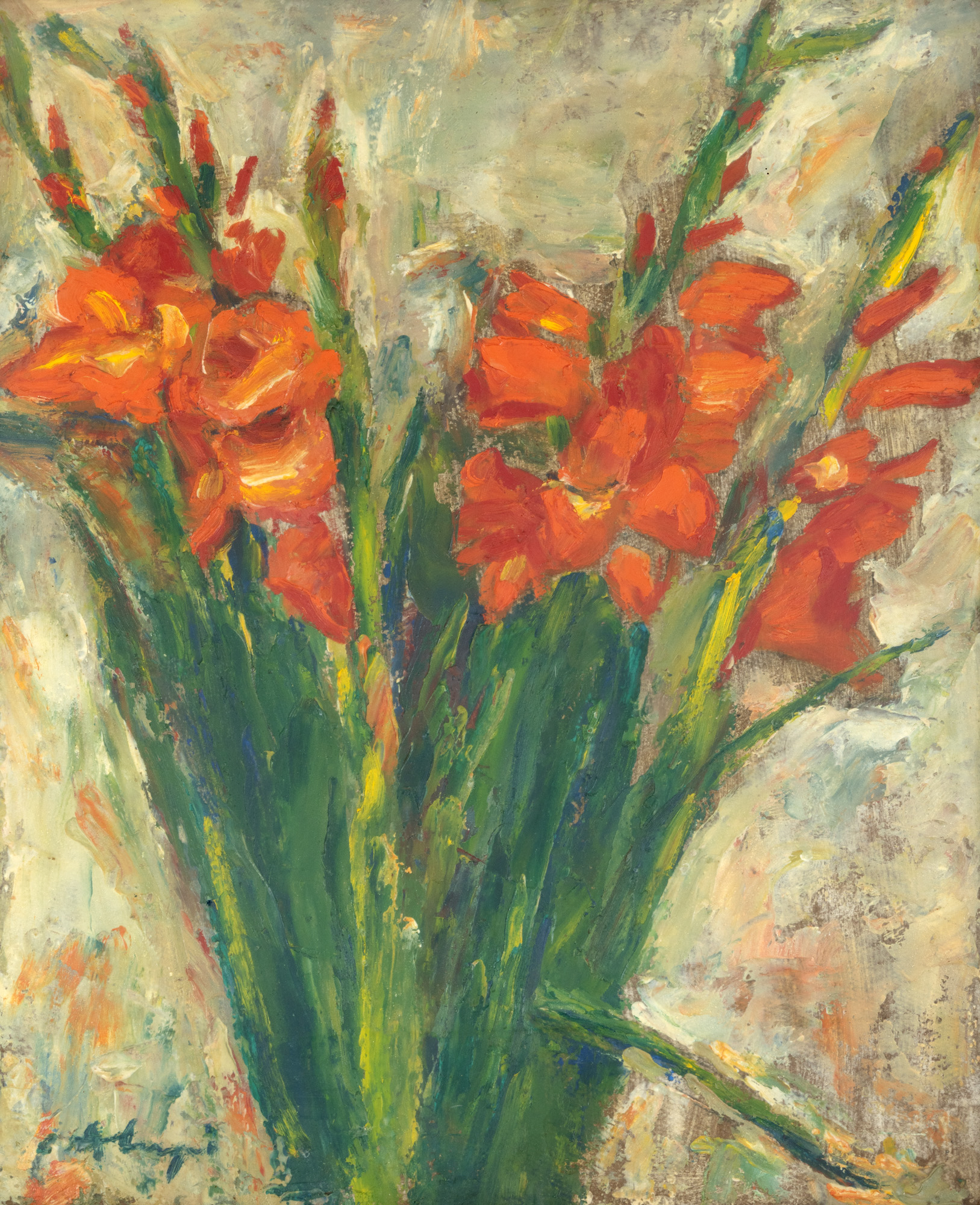 Gladiole roșii