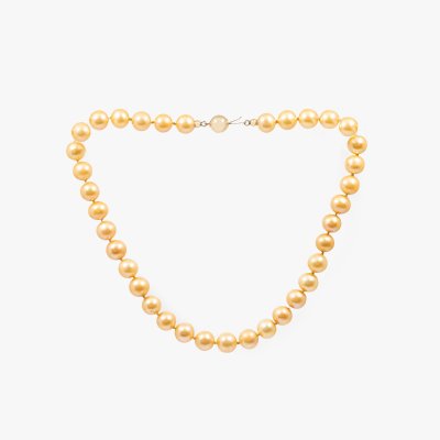 Pearl necklace, decorated with a gold clasp