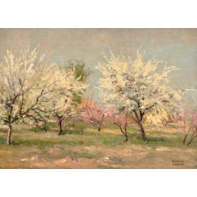 Primăvară în livada cu meri