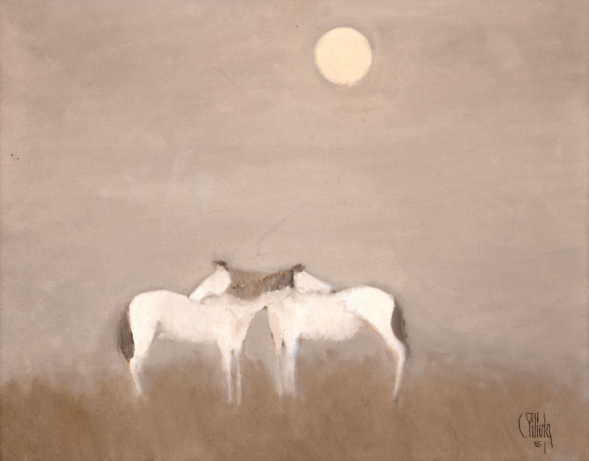Under the Moonlight