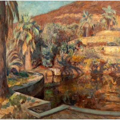 Garden with Palm Trees