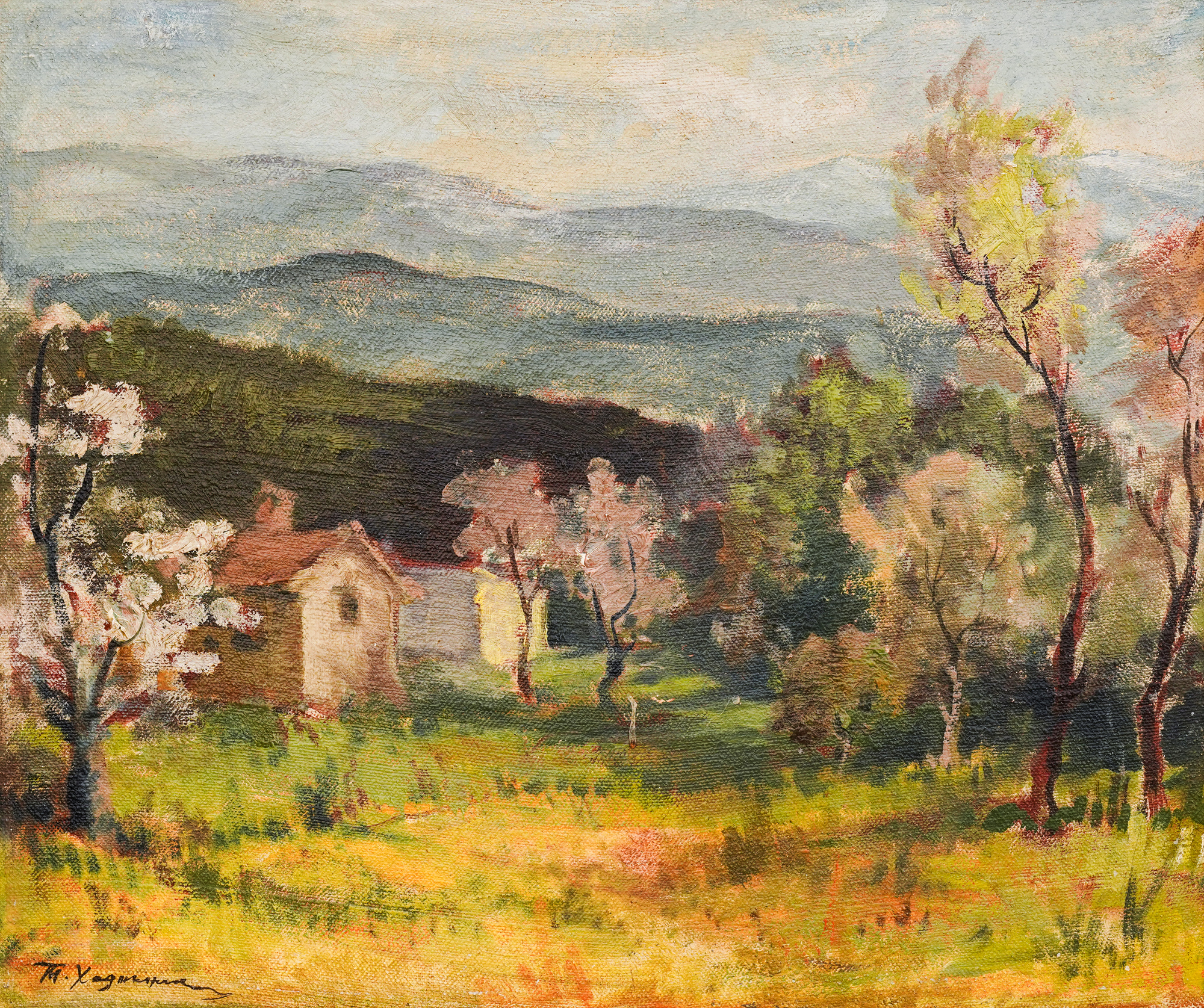 Trees in bloom