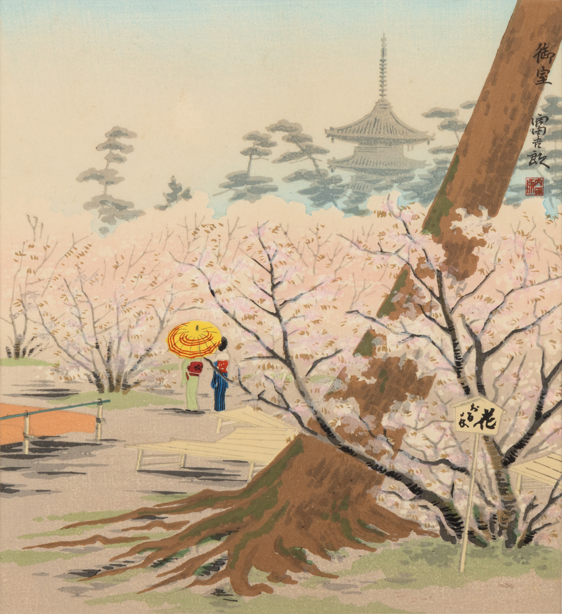 Flori de cireș în Omuro, Kyoto primăvara