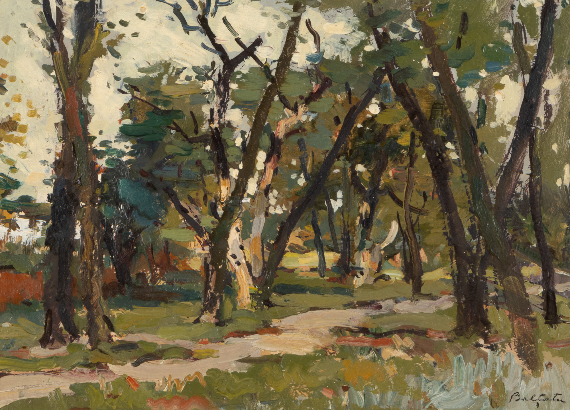 Forest Edge