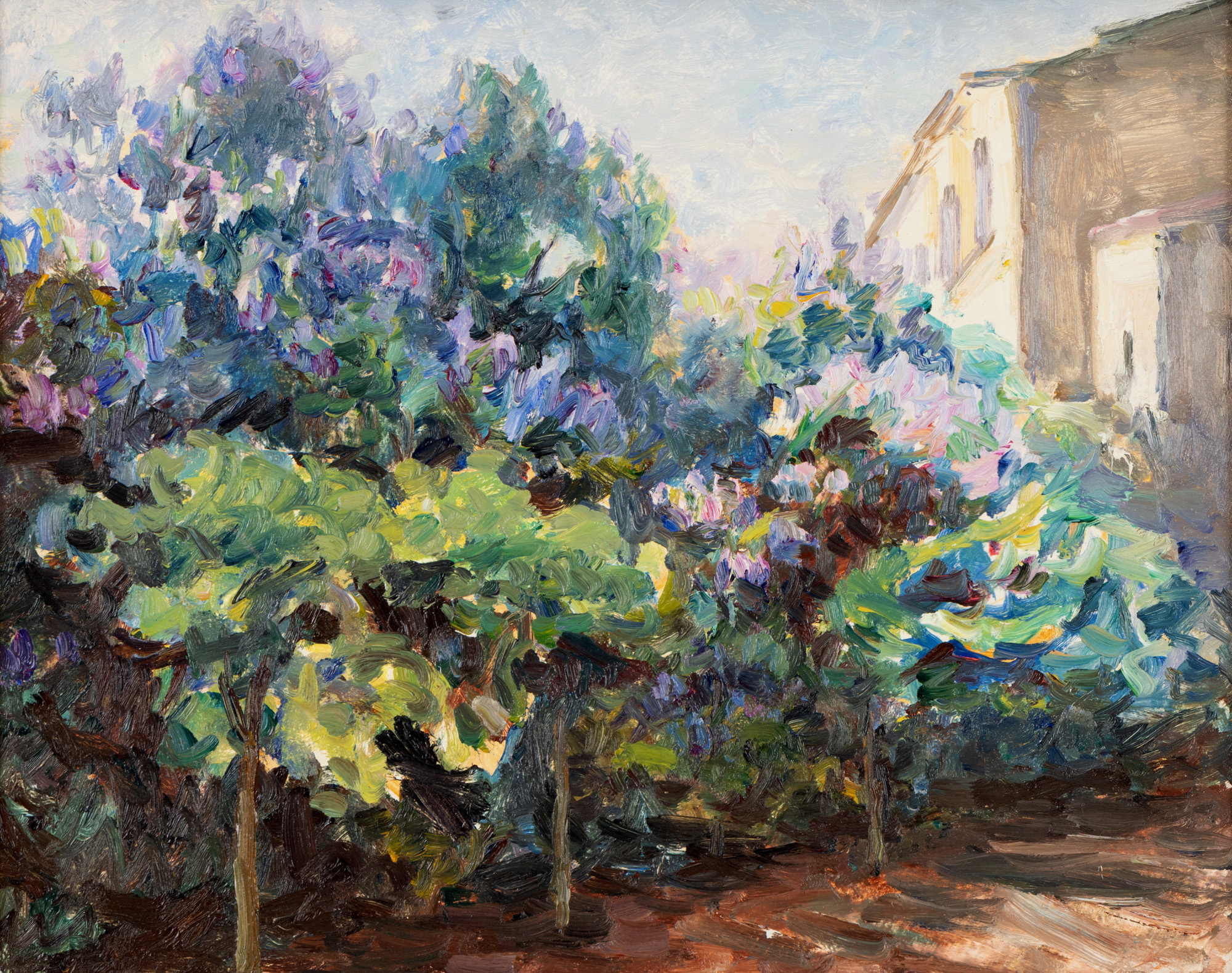 Liliac înflorit