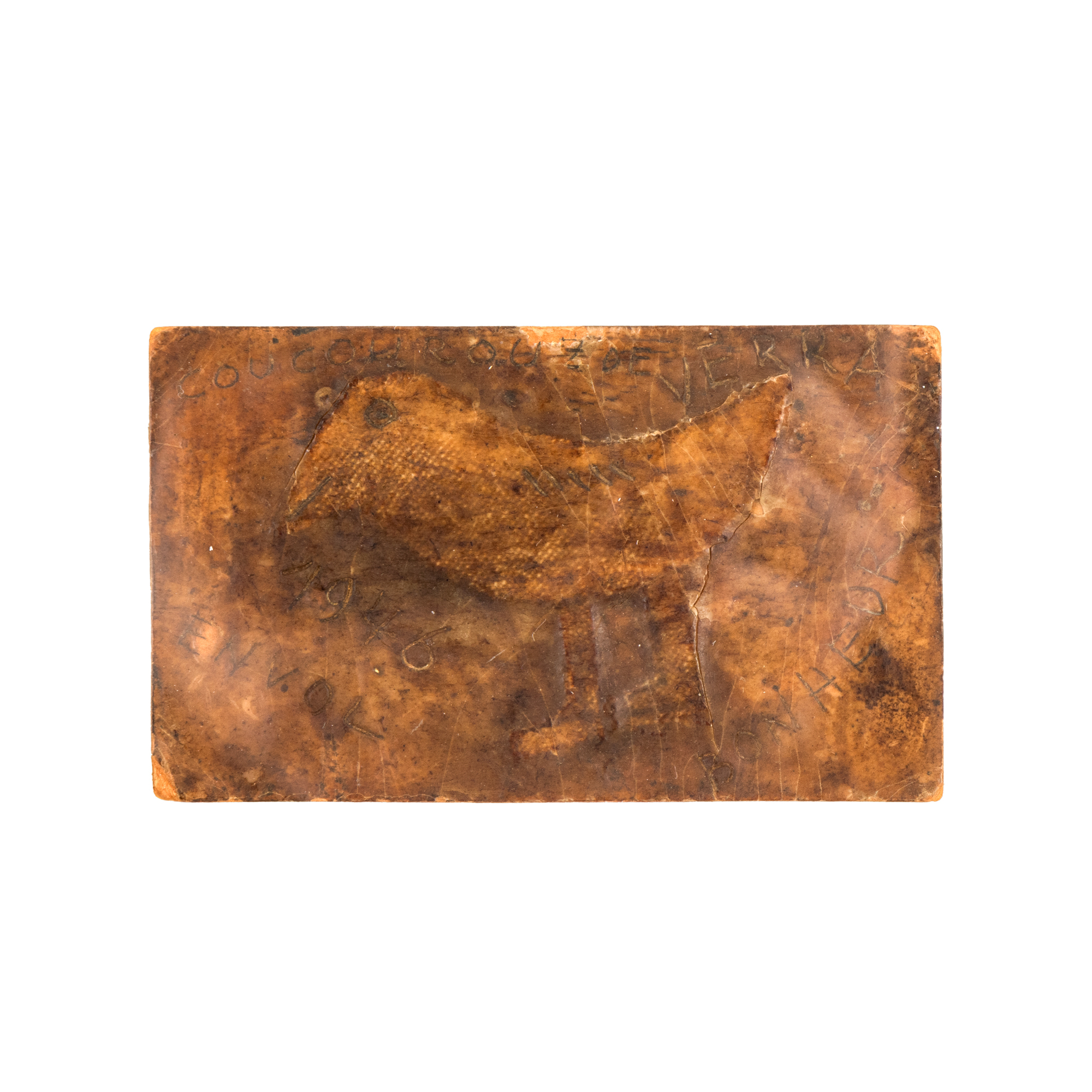 Coucourouz de Verra Bonheur