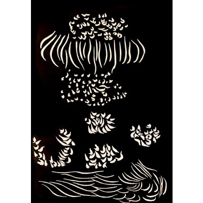Nocturnal Flowers