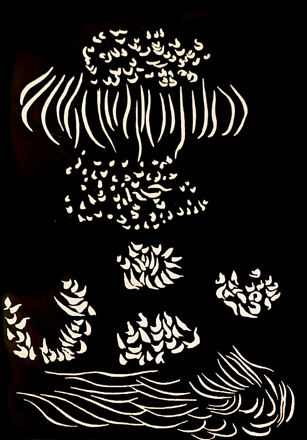 Flori nocturne