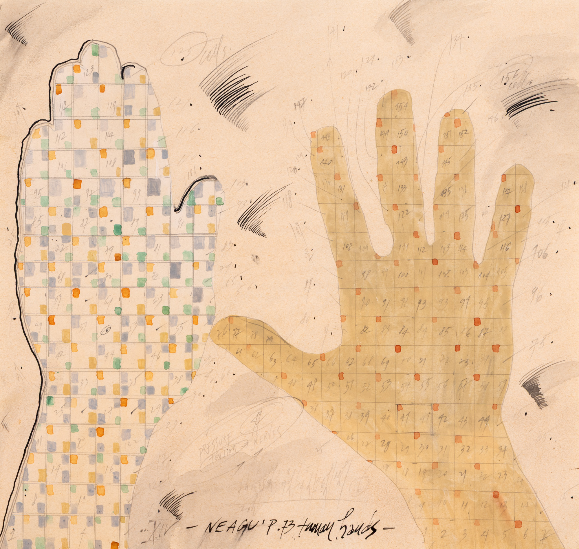 Human Hands