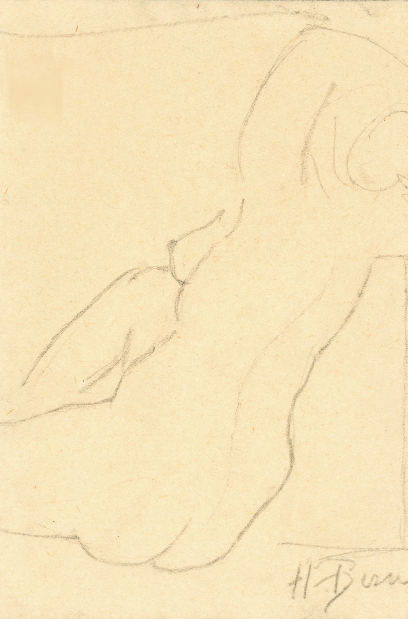 Nud