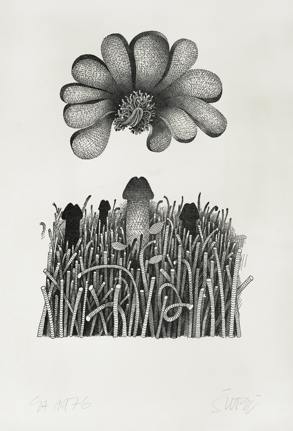 In the Field