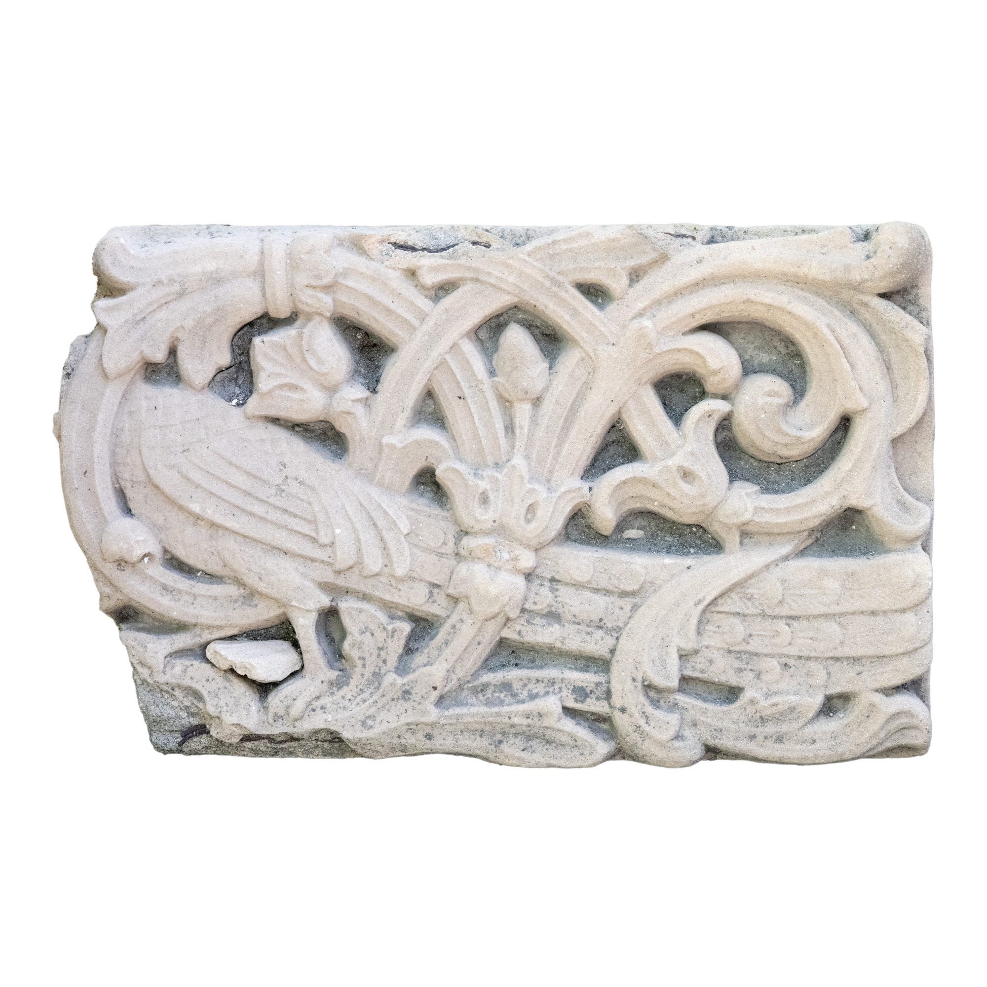 Secțiune dintr-o friză decorativă, ilustrând un păun în decor vegetal stilizat