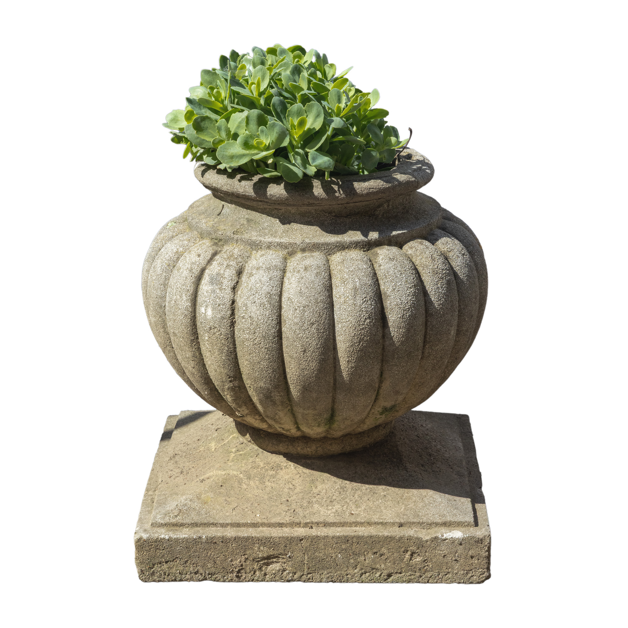 Jardinieră în manieră Neo-Clasică, decorată cu godroane 