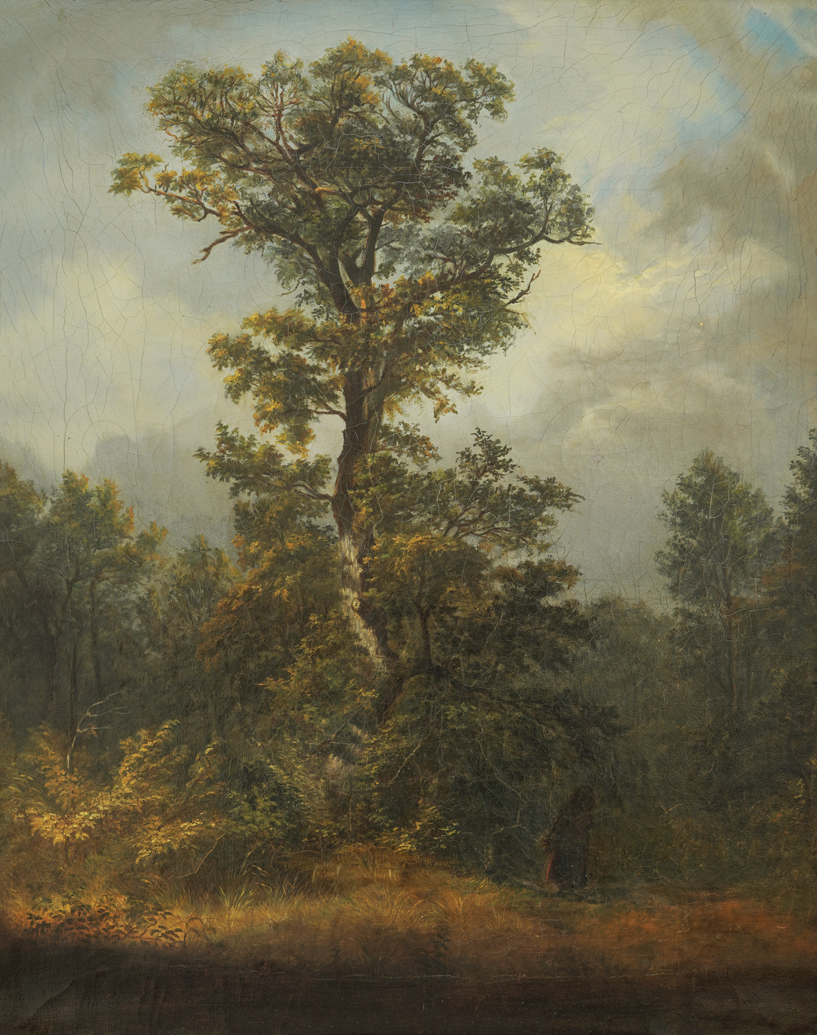 Forest