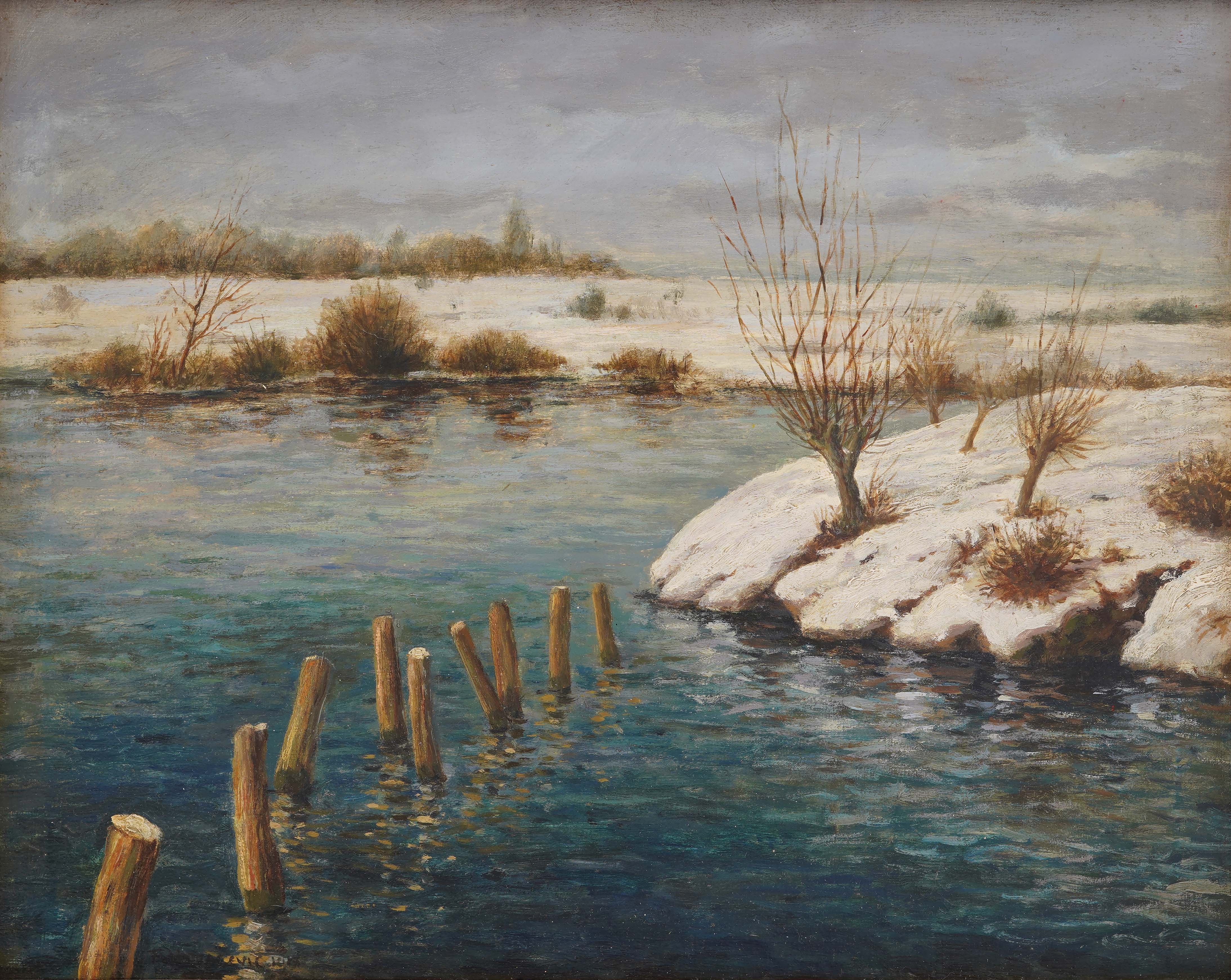 Winter on the Sava Sleeve