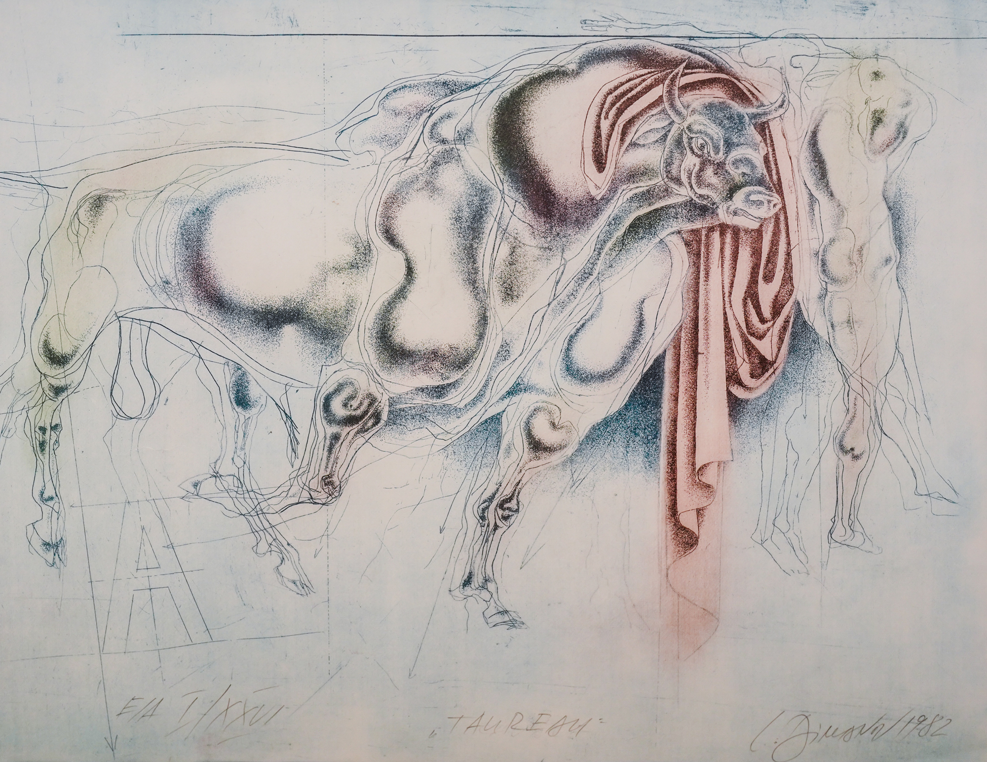 Man and bull