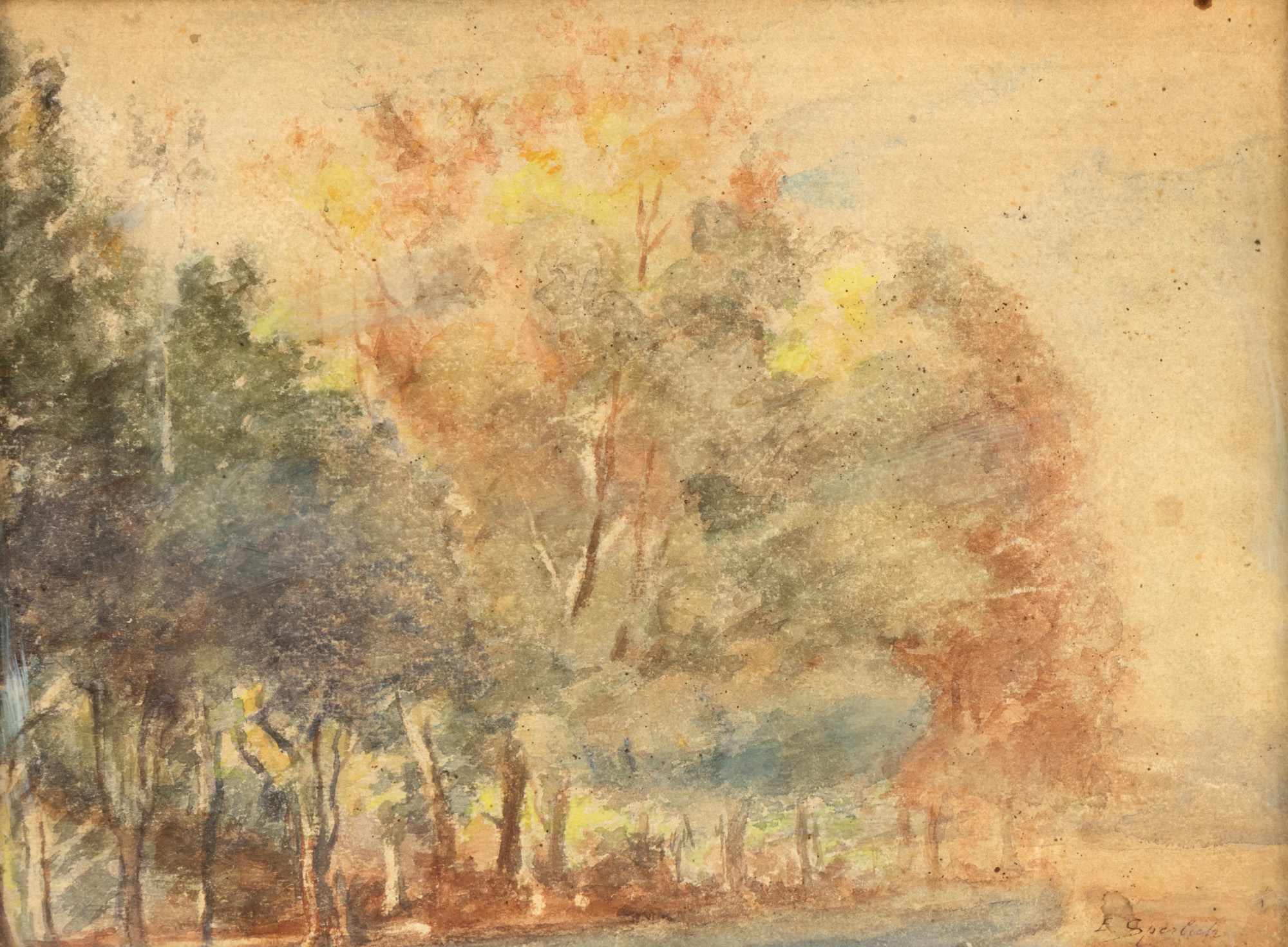 Forest Edge