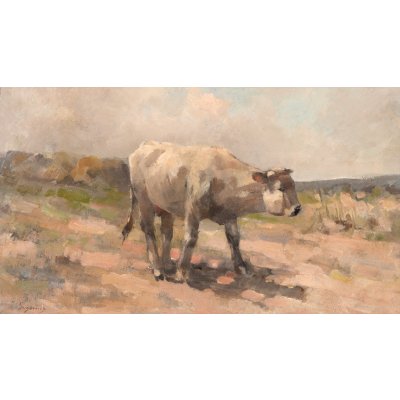 Bullock on the Road (Snowdrop)