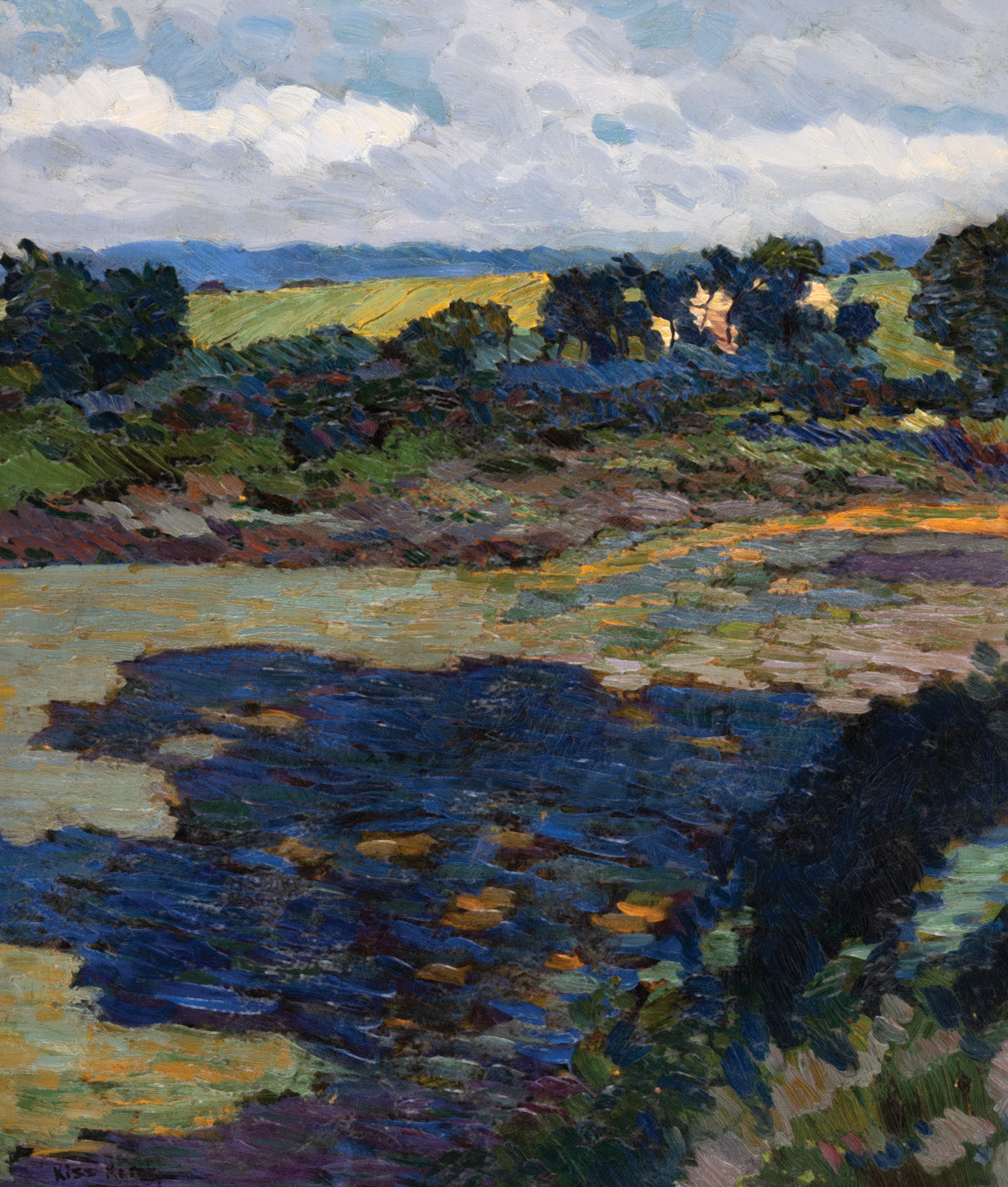 Summer Landscape