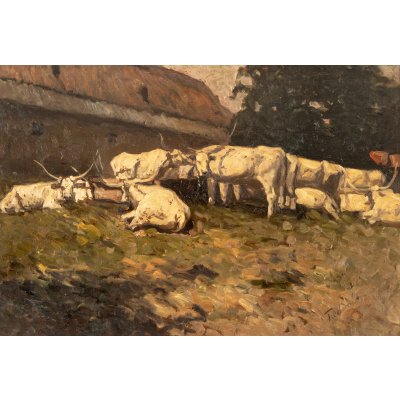 Odihna bivolilor