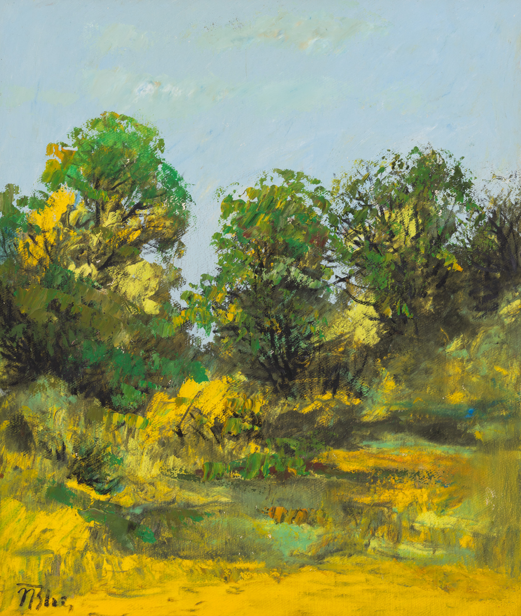 Summer at the Borders
