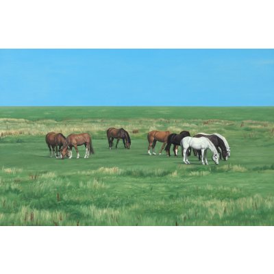 Horses