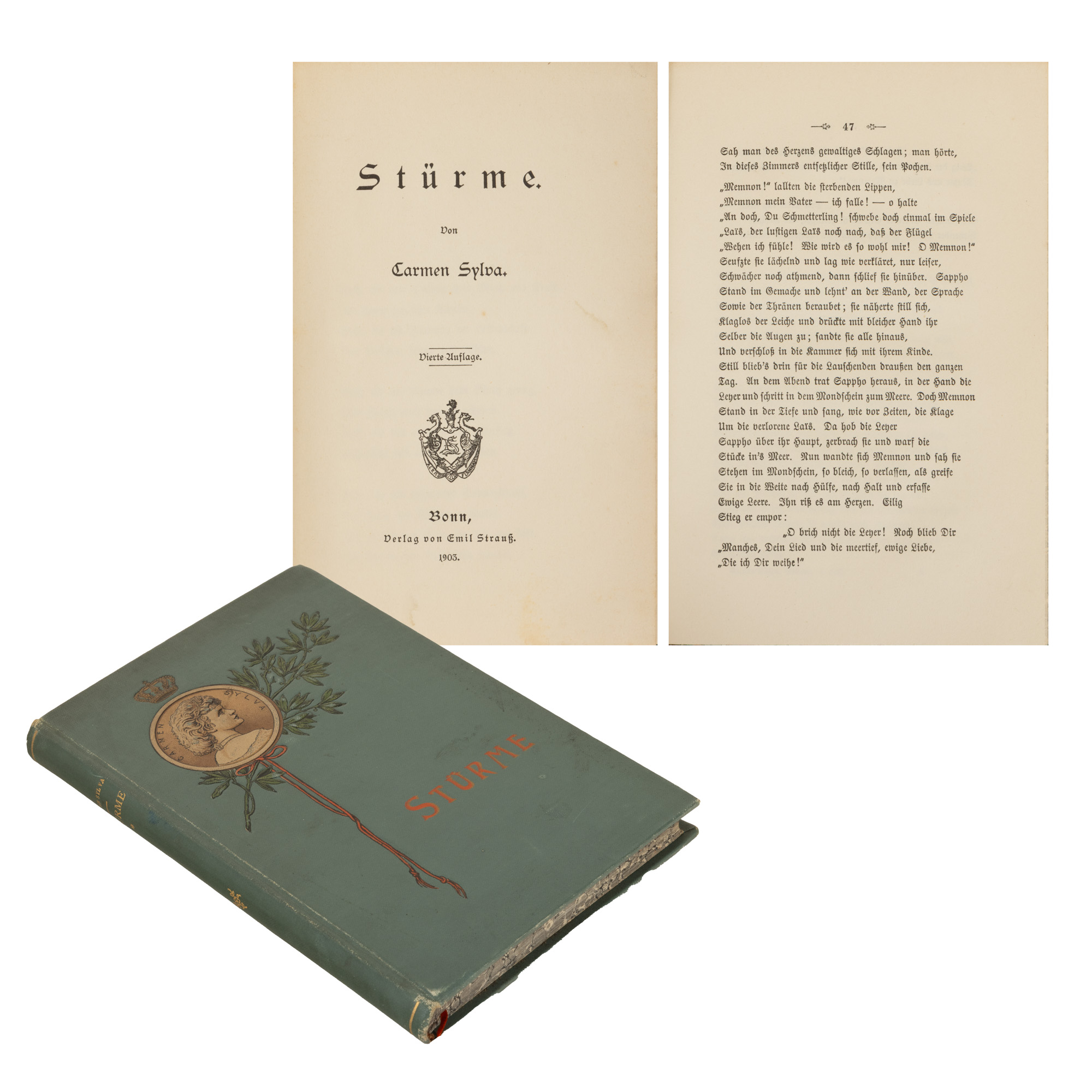 ”Furtuni (Stürme)”, de Carmen Sylva, germană, Bonn, 1903, cu coperta originală editorială, piesă bibliofilă, de colecție