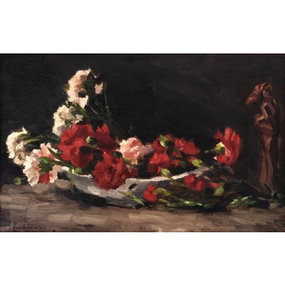 Carnations