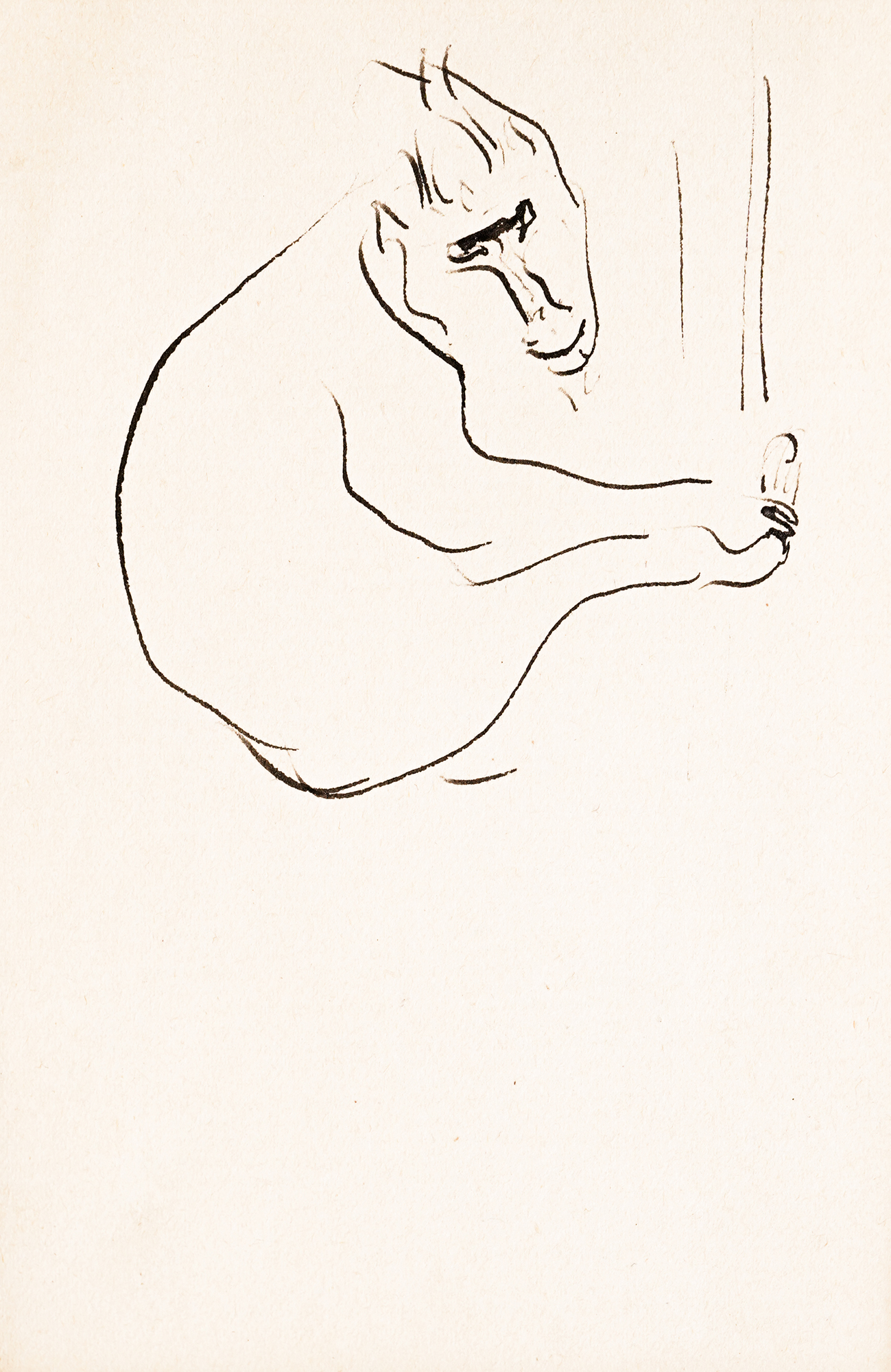 Monkey