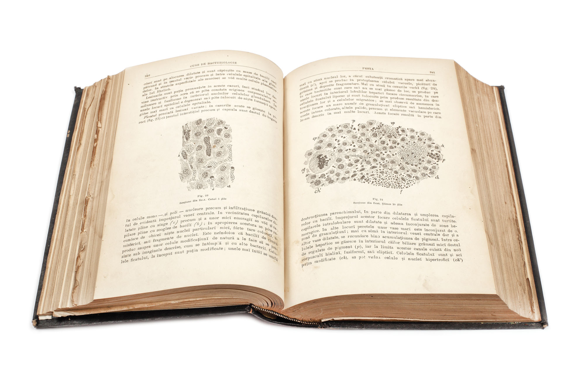 "Curs de Bacteriologie", de Victor Babeş, Bucureşti, 1900, ediţie priceps