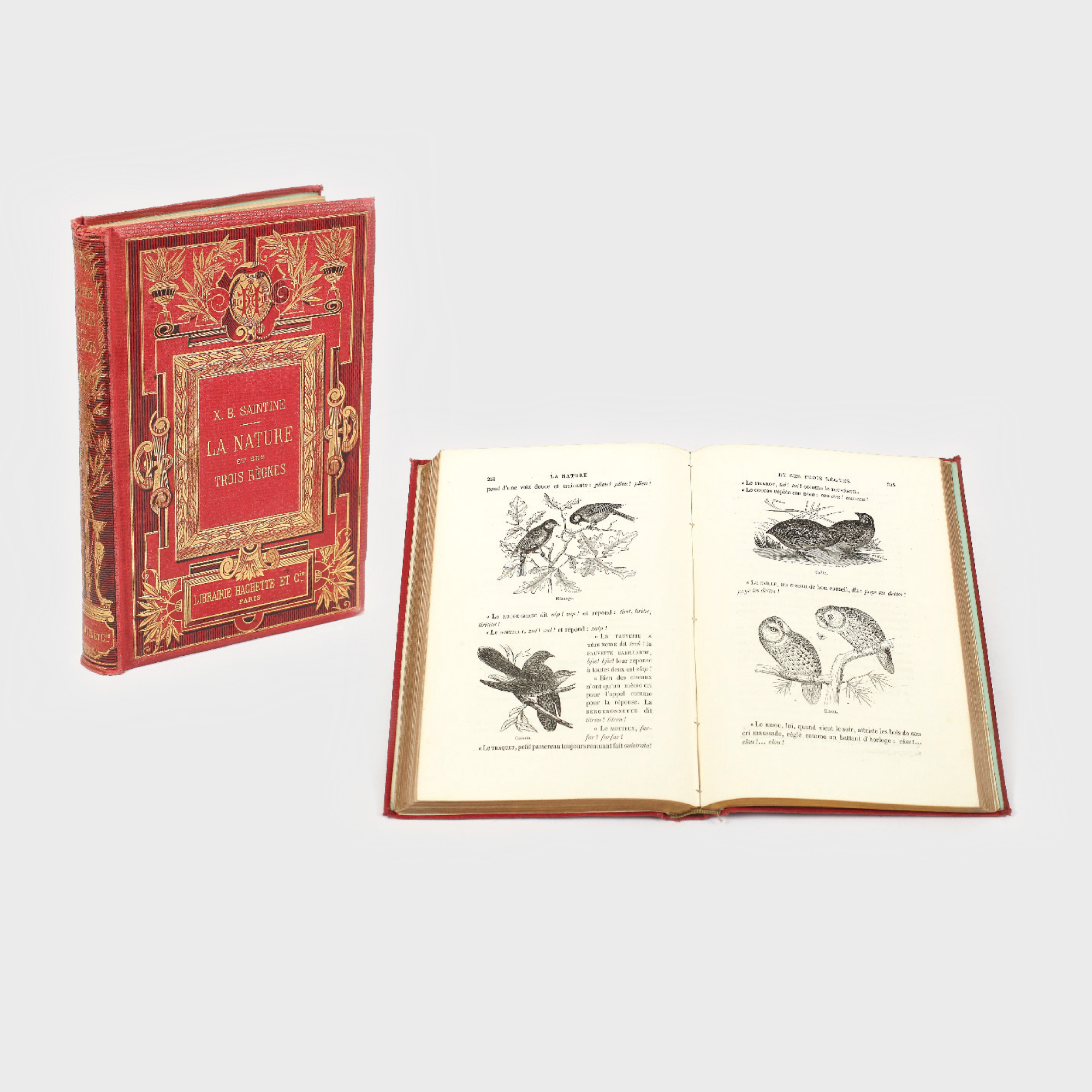 "Natura şi cele trei regnuri ale sale", de X.B. Saintine, Paris, 1879, exemplar în limba franceză