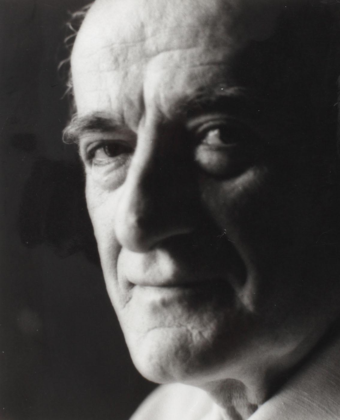 Portretul artistului Radu Boureanu