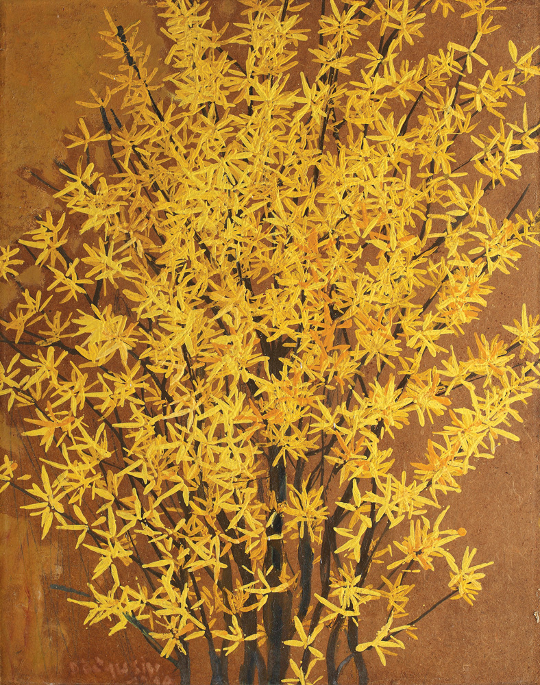 Forsythia
