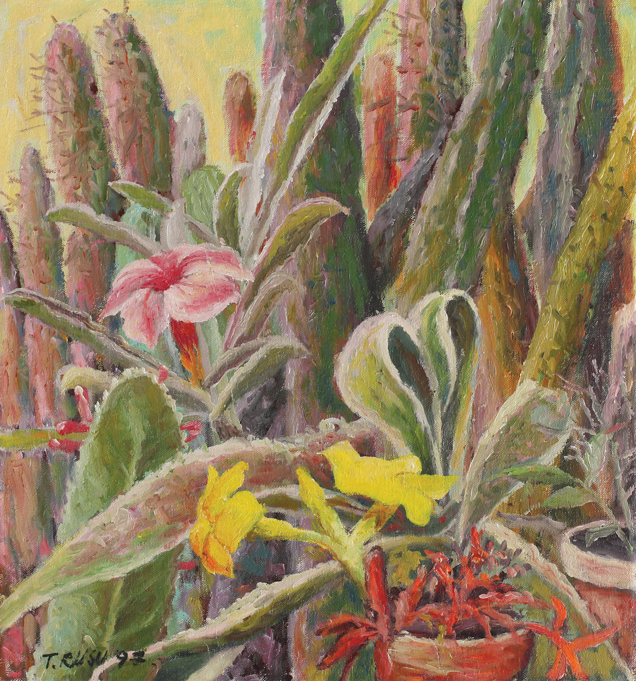 Grădină de cactuşi