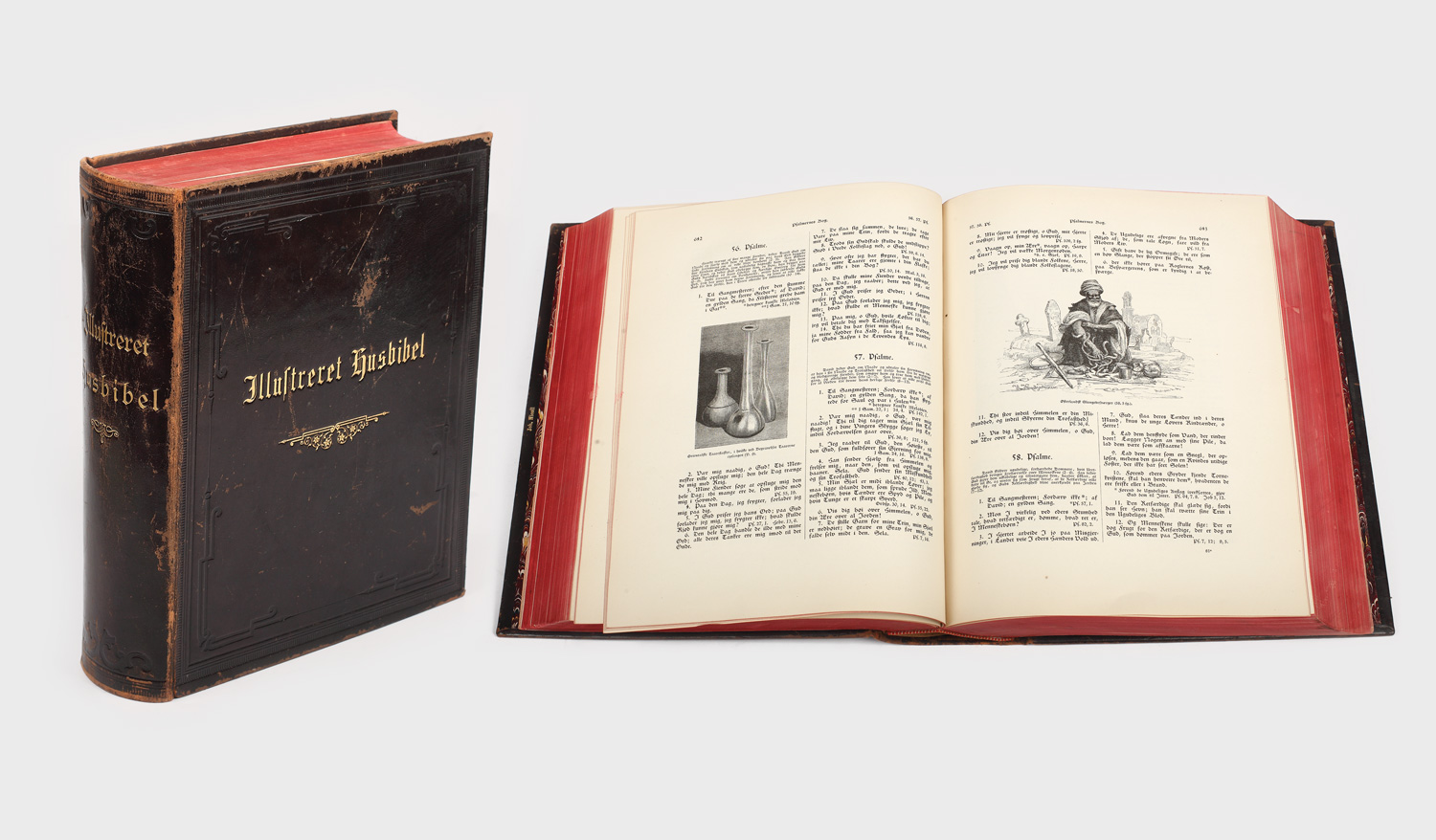 Illustreret Husbibel, Biblia cu ilustrații, ediție în limba germană, 1894