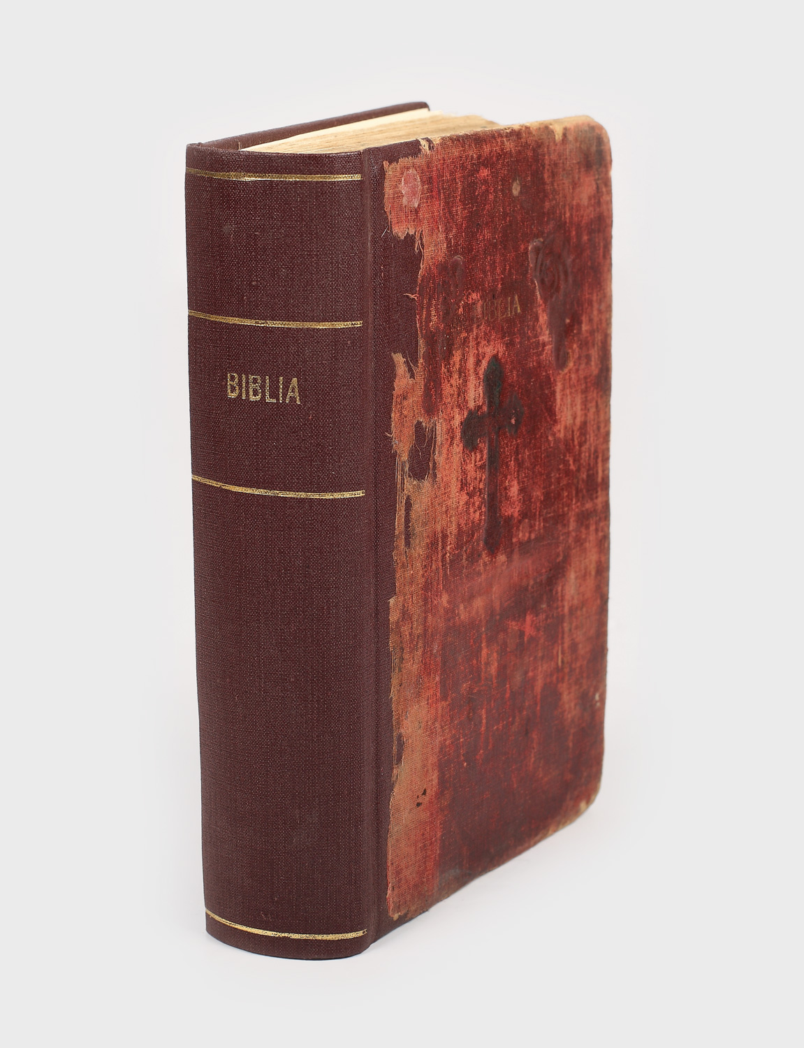 Biblia tradusă de N. N. Nitzulescu, tipărită la București, 1906