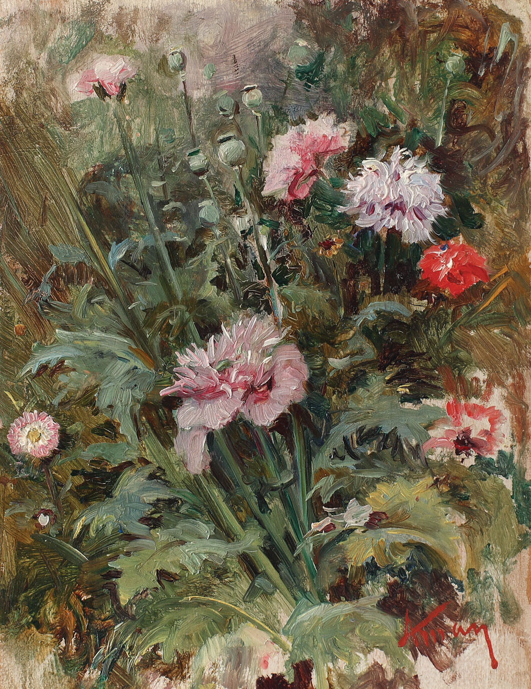 Garofițe