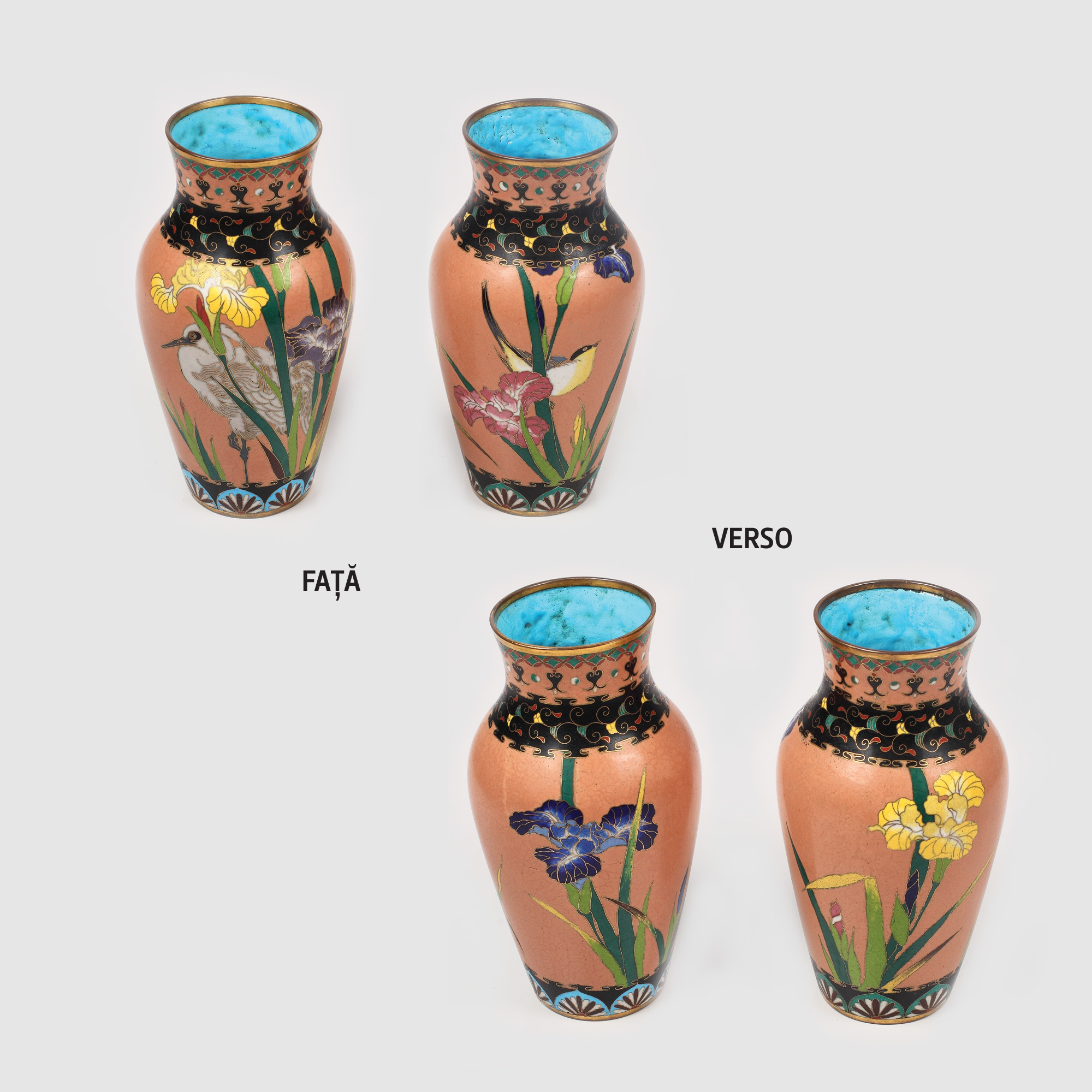 Pereche de vase cloisonné, decorată cu iris galben, cormoran și rândunică, epoca Meiji