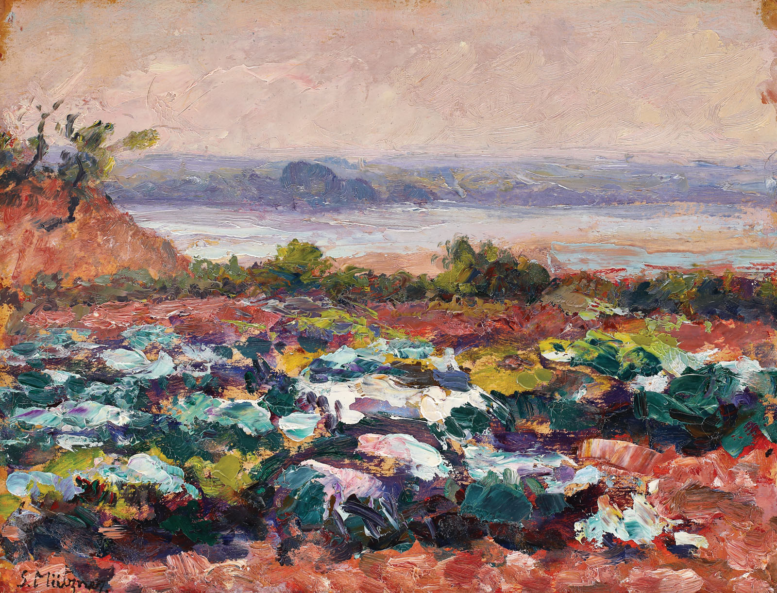 Garden at dawn