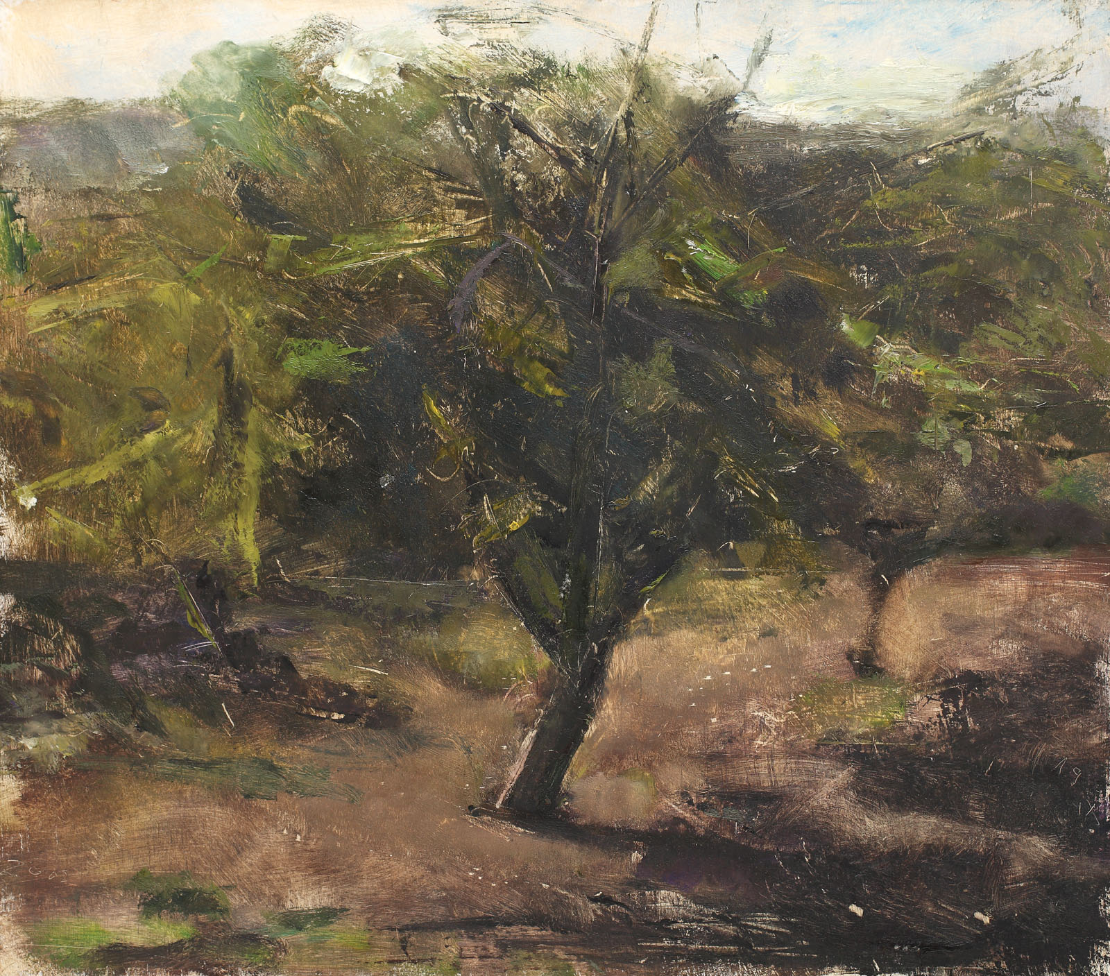 Apple Tree